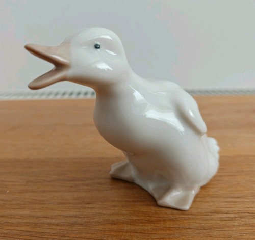 Quacking duck duckling nao - quacking,