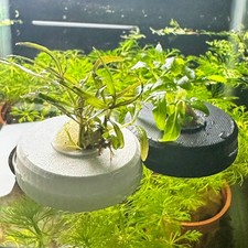 Aquarium Floating Planted Mini Plant Pot & Aquatic Live Plants / Nano Fishtank
