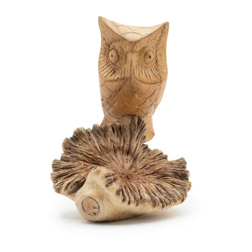 Hand carved wooden owl - hand,