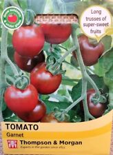 CHERRY TOMATO SEEDS - GARNET -