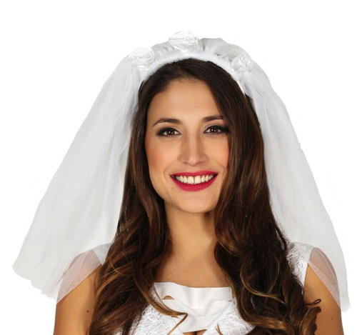 Bride veil fancy dress hen - bride,