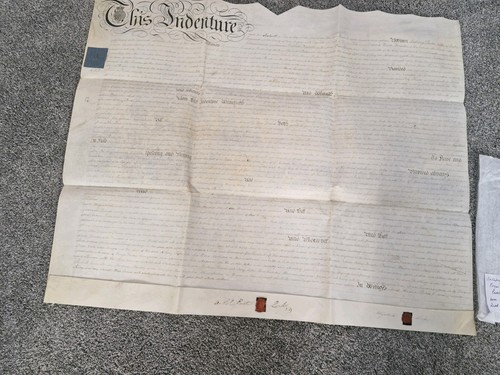 Antique vellum indenture - vellum, deed