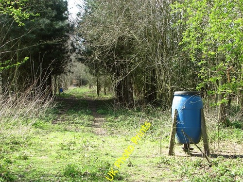 Photo 6x4 pheasant feeders - 6x4,