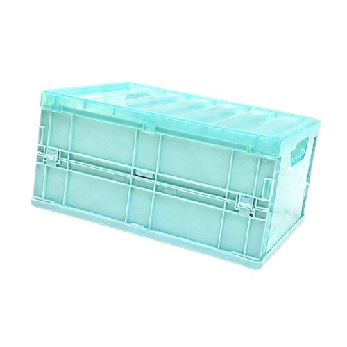 Portable bird brooder box - bird,