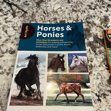 Horses & Ponies : More Than 50