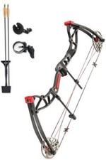 Hunting compound bow - hunting,