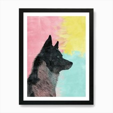 Schipperke Dog Watercolour