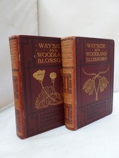 1905 - Wayside and Woodland Blossoms by Edward Step - 2 Vols - Colour Plts