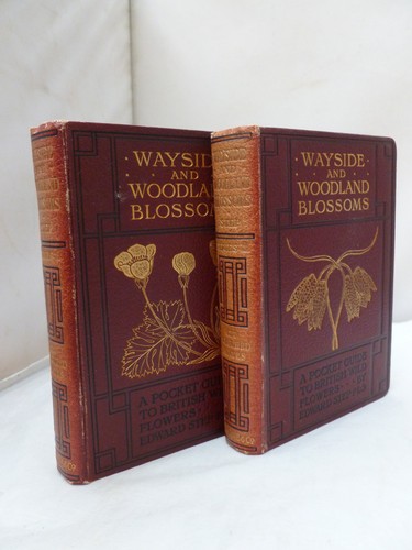 1905 wayside and woodland - 1905,