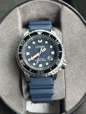 Citizen W3834 Pro master Eco