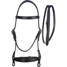 Cameo Equine In Hand Bridle & Lead - Stunning Brass Fittings