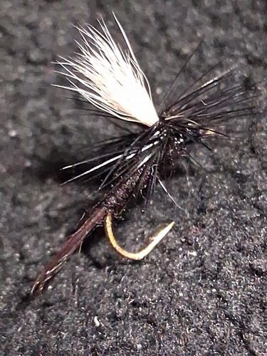 Parachute black gnat - parachute, 16