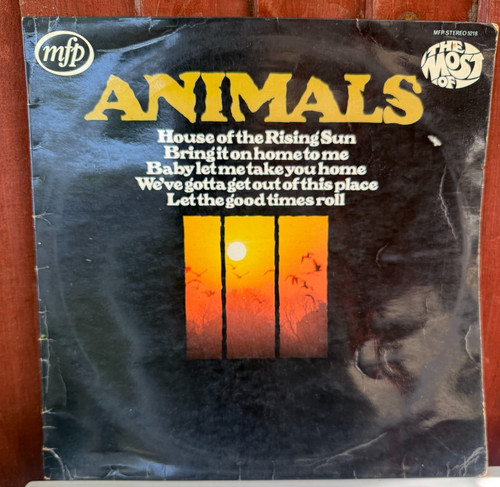 The animals most - animals,