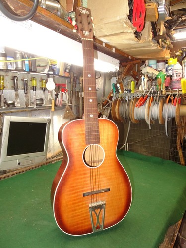 Vintage 1960 regal acoustic - vintage, 1960's