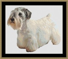 Sealyham Terrier Dog Cross