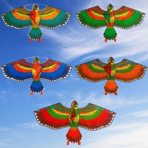Cartoon animal parrot - animal,