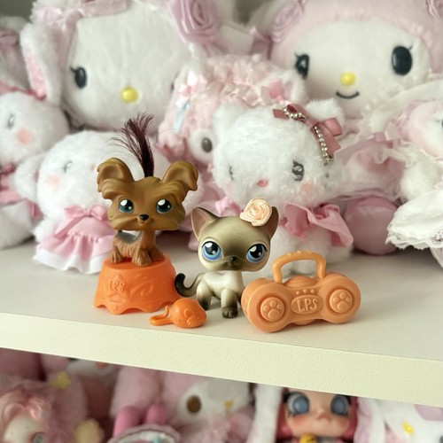 Littlest pet shop siamese - pet,