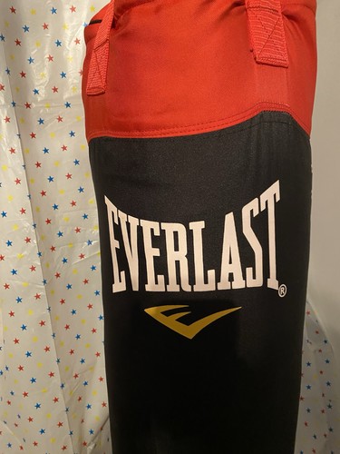 Everlast boxing punch - boxing, with