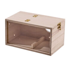 Parakeet Budgie Cockatiel