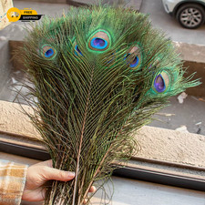 10PCS Real Peacock Feather