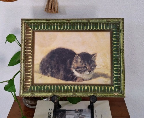 The parson kitten cat - the, parson's
