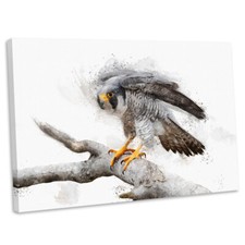 Peregrine Falcon Watercolour Style Canvas Print Framed Wall Art Picture