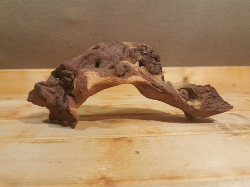 287g mopani wood - mopani, for