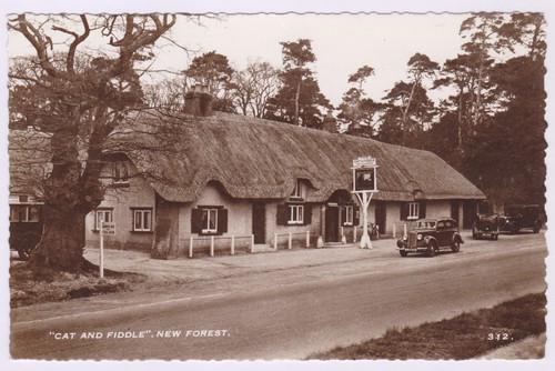 Cat fiddle inn - &,