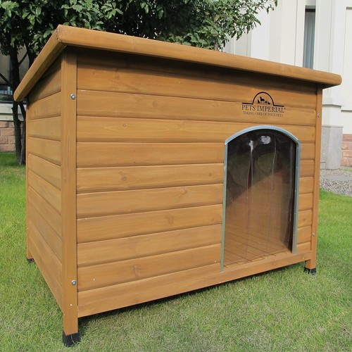 Norfolk insulated dog - 🐶🏡,
