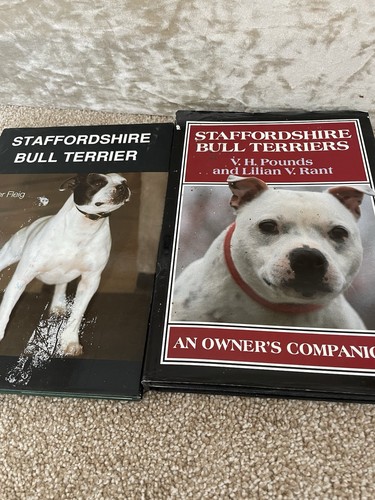 Staffordshire bull terrier - staffordshire,