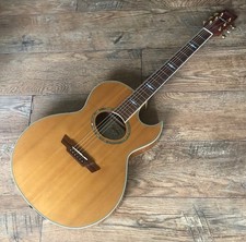 Washburn Limited Edition Festive Series Craig Chaquico EA 26 Electro Acoustic