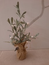 BNWT Parlane Artificial Green