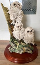 Border Fine Arts Triple Tawny Owlets Birds By Russell Willis - Owls