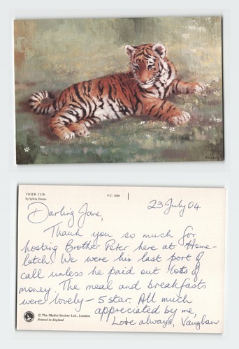 Vintage postcard tiger - postcard,