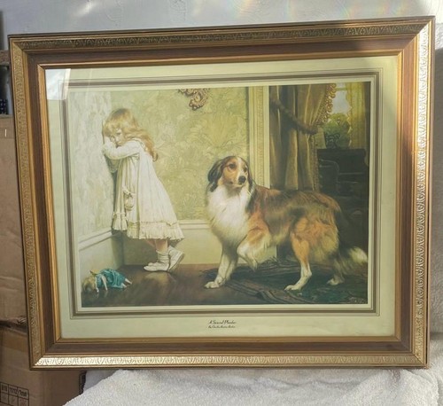Framed special pleader by - pleader,