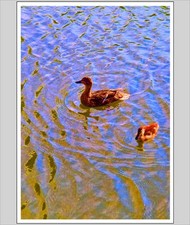 Down By The Riverbank A4 Print