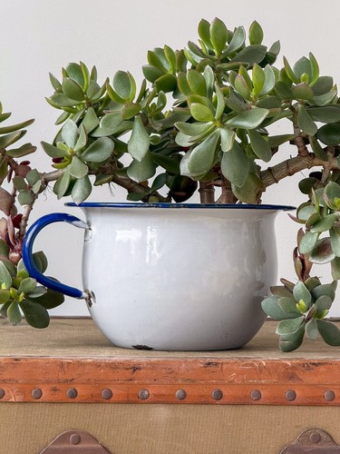 Vintage enamel chamber pot - vintage,