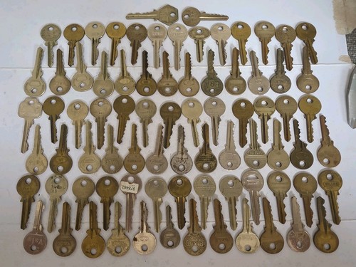 Large job lot - large,