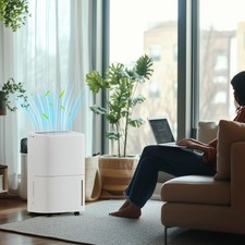 20L/Day Air Dehumidifier with