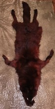 Vintage Real Fur  Red Fox Stole - Whole Body in Superb Condition