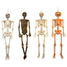 Choice of Design: 5ft Posable Full Body Halloween Skeleton with Movable Joints