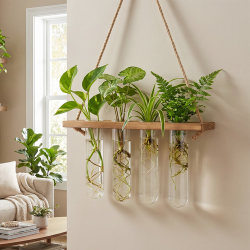 Wall hanging propagation vase - wall,