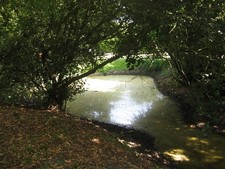 Photo A3 Duckpond at Dovecote