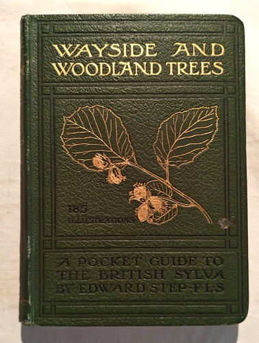 Wayside and woodland trees - and,