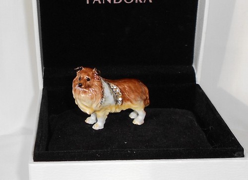 Shetland sheepdog dog fine - shetland,