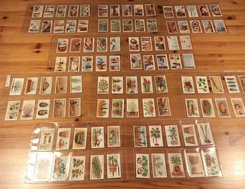 Wills cigarette cards x2 - wills's,