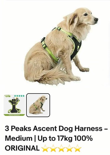 Peaks ascent dog - ascent, –