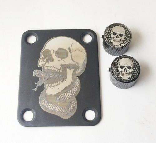 Guitar neck plate - guitar, snake