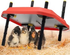 Chick Brooder Poultry Breeding