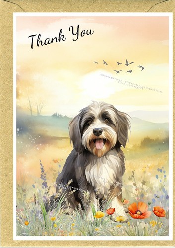 Tibetan terrier dog thank you - tibetan,